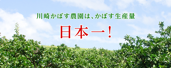 川崎かぼす農園は、かぼす生産量日本一！
