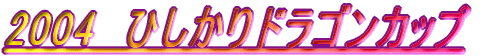 2004�@�Ђ�����h���S���J�b�v 