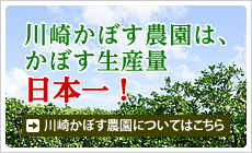 川崎かぼす農園は、かぼす生産量日本一！