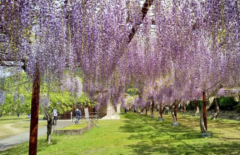 ○○○公園写真