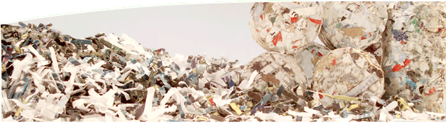 Manufacturer, Shredder, Granulator, briquetting press